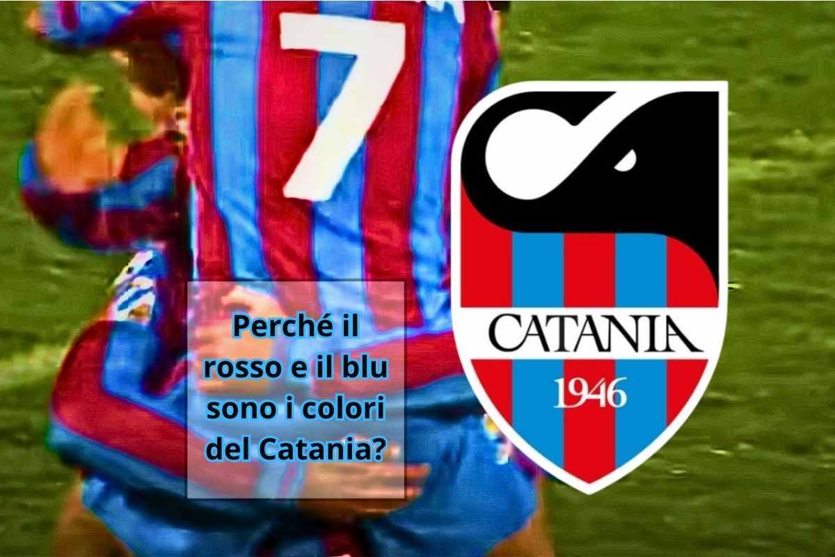 Catania calcio in campo
