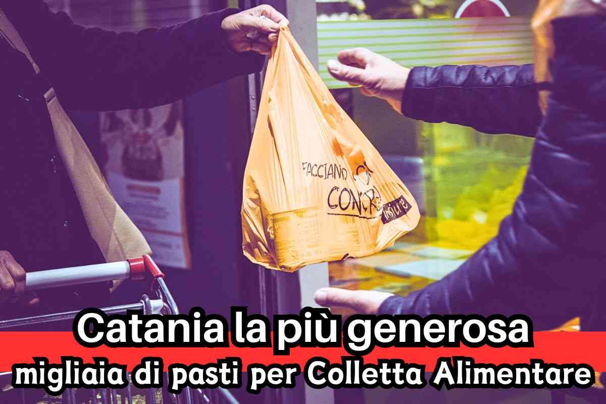 colletta alimentare catania