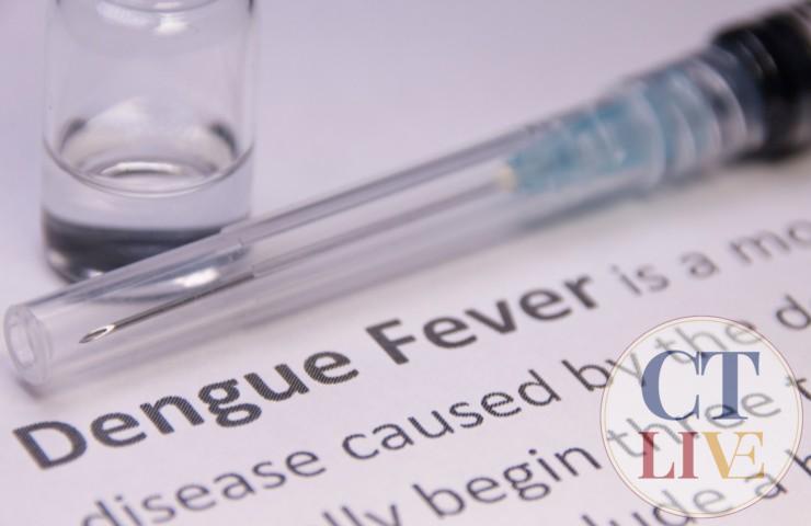 Febbre Dengue, morta una donna in Italia