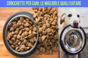 Migliori crocchette per cani