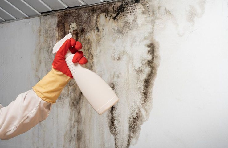 Lo spray naturale e fai da te per eliminare la muffa